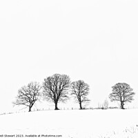 Buy canvas prints of Ethereal Winter Wonderland by Heidi Stewart