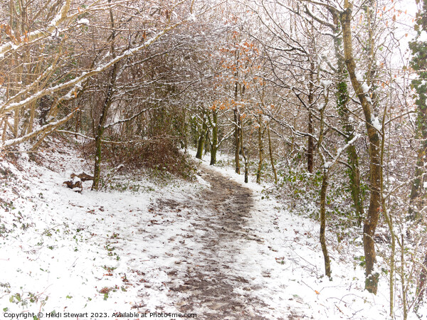 A Winter's Walk Picture Board by Heidi Stewart