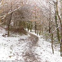 Buy canvas prints of A Winter's Walk by Heidi Stewart