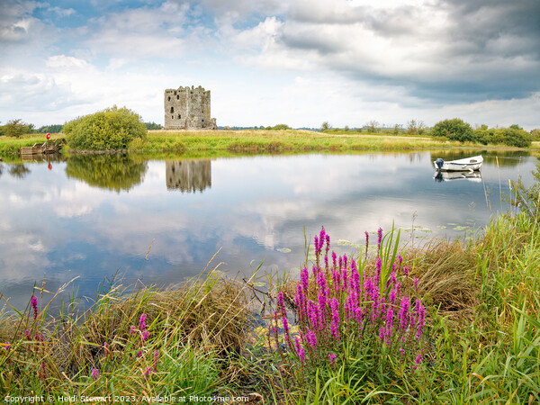 Threave Castle Reflected Picture Board by Heidi Stewart