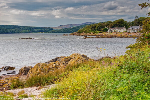 Rockcliffe, Dumfries and Galloway Picture Board by Heidi Stewart