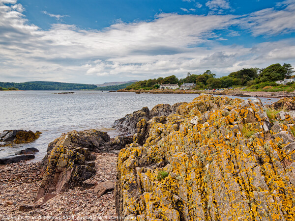 Rockcliffe, Dumfries and Galloway Picture Board by Heidi Stewart