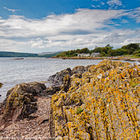 Buy canvas prints of Rockcliffe, Dumfries and Galloway by Heidi Stewart