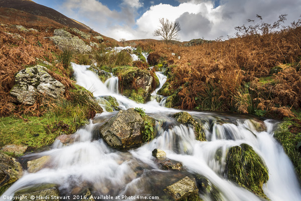 Cinderdale Beck Falls in the Lake District Picture Board by Heidi Stewart