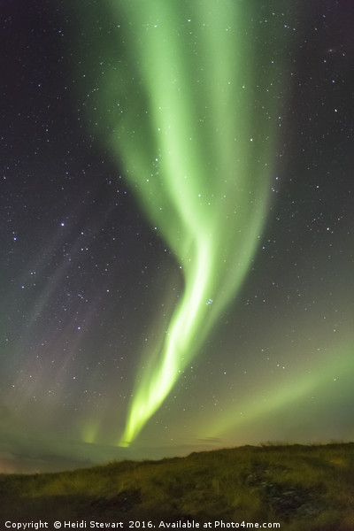 Aurora over Hofn, Iceland Picture Board by Heidi Stewart