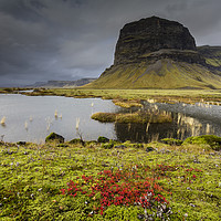 Buy canvas prints of Mt Lomagnupur in Iceland. by Heidi Stewart