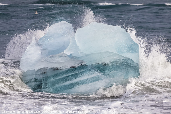 Iceberg on the Beach, Jokulsarlon, Iceland  Picture Board by Heidi Stewart