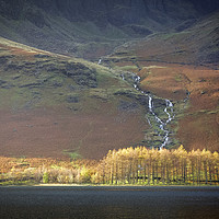 Buy canvas prints of Larch Trees at Buttermere in the Lake District by Heidi Stewart