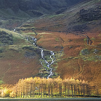 Buy canvas prints of Larch Trees at Buttermere Lake by Heidi Stewart