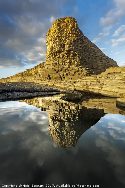 The Sphinx at Nash Point Picture Board by Heidi Stewart