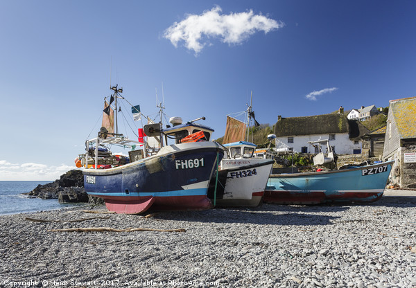 Fishing Boats at Cadgwith Cove, Cornwall Picture Board by Heidi Stewart