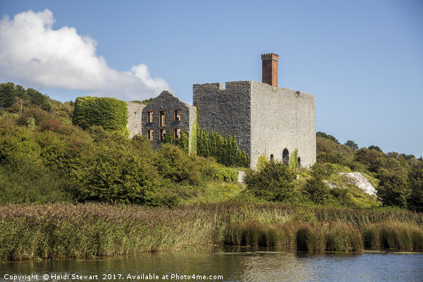 Old Lime Works, Aberthaw in south Wales Picture Board by Heidi Stewart