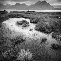Buy canvas prints of The View across Loch Torridon by Heidi Stewart