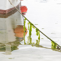 Buy canvas prints of Seaweed and Boat Reflected by Heidi Stewart