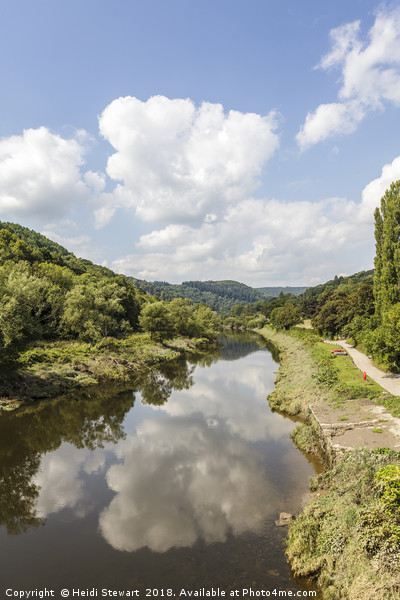 The River Wye from Bigsweir, Monmouthshire Picture Board by Heidi Stewart