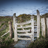 Buy canvas prints of The Gate, Llandwyn Island by Heidi Stewart