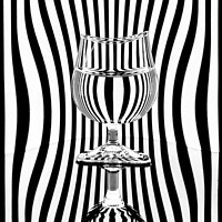 Buy canvas prints of Zebra Stripes and Glass by Heidi Stewart