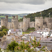 Buy canvas prints of Conwy Castle by Heidi Stewart
