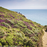 Buy canvas prints of Coastal Path West Cornwall by Heidi Stewart