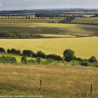 Buy canvas prints of South Downs in Hampshire by Heidi Stewart