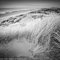 Buy canvas prints of Harlech Beach by Heidi Stewart