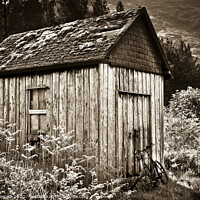 Buy canvas prints of Old Shed and Bicycle, Scotland by Heidi Stewart