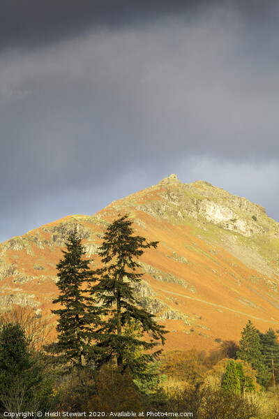 Helm Crag from Grasmere Picture Board by Heidi Stewart