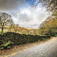 Buy canvas prints of Autumnal Country Lane by Heidi Stewart