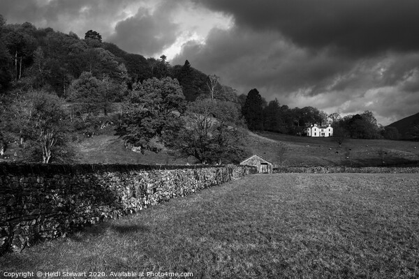 Grasmere View in Black and White Picture Board by Heidi Stewart