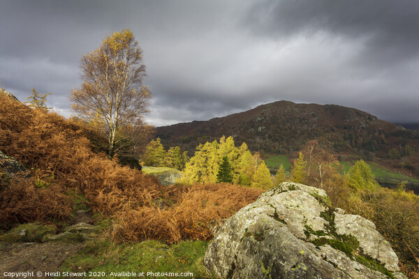 Autumn in the Lake District Picture Board by Heidi Stewart