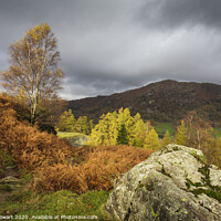 Buy canvas prints of Autumn in the Lake District by Heidi Stewart