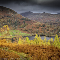 Buy canvas prints of Rydal Water and Vista by Heidi Stewart