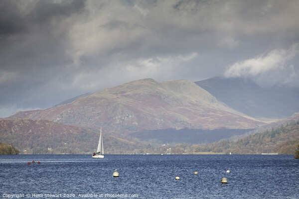 Lake Windermere in the Lake District Picture Board by Heidi Stewart