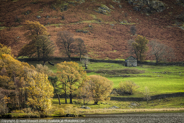 Old Barn at Glenridding in the Lake District Picture Board by Heidi Stewart
