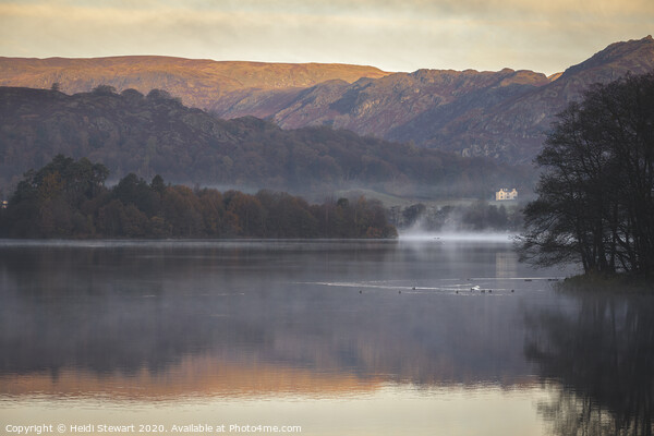 Grasmere Lake Autumnal Morning Picture Board by Heidi Stewart