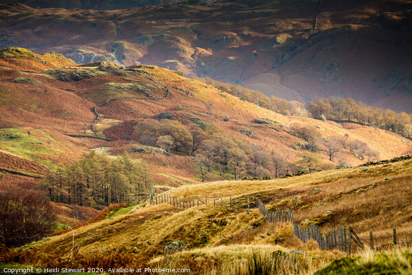 The Borrowdale Valley in Autumn Picture Board by Heidi Stewart