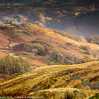 Buy canvas prints of The Borrowdale Valley in Autumn by Heidi Stewart