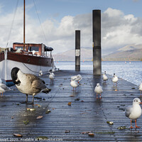 Buy canvas prints of Jetty and birds on Windermere Lake by Heidi Stewart