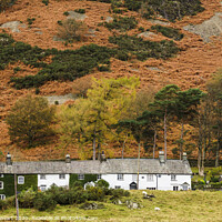 Buy canvas prints of Terraced Houses, Cat Bank, Coniston by Heidi Stewart