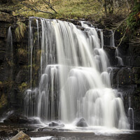 Buy canvas prints of East Gill Force by Heidi Stewart