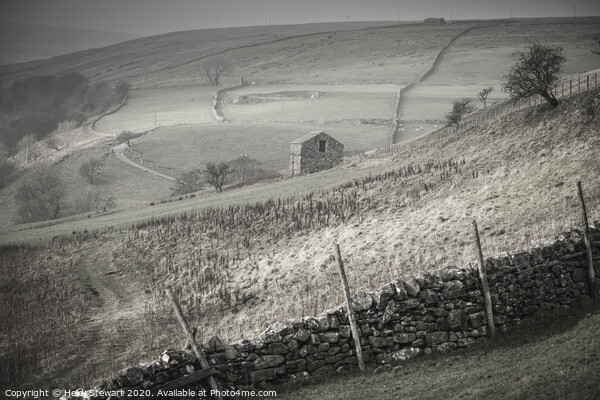 Keld Barn in the Yorkshire Dales Picture Board by Heidi Stewart