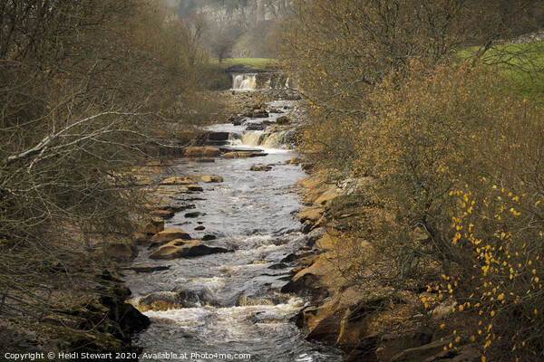 The River Swale and Wain Wath Force Picture Board by Heidi Stewart