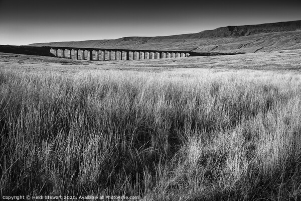 Ribblehead Viaduct, North Yorkshire Picture Board by Heidi Stewart