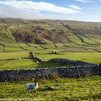 Buy canvas prints of Littondale, Yorkshire Dales by Heidi Stewart
