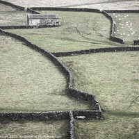 Buy canvas prints of Dry Stone Walls and Barn by Heidi Stewart