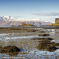 Buy canvas prints of Castle Stalker, Scottish Highlands by Heidi Stewart