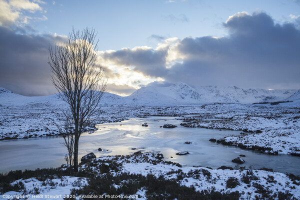 Rannoch Moor, Scotland Picture Board by Heidi Stewart