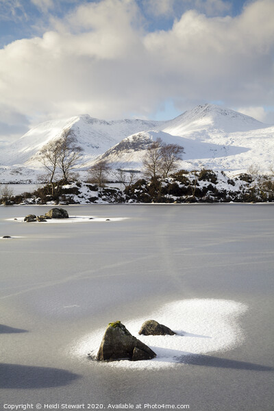 Rannoch Moor in Winter Picture Board by Heidi Stewart