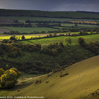 Buy canvas prints of Grandfathers Bottom at Butser Hill by Heidi Stewart