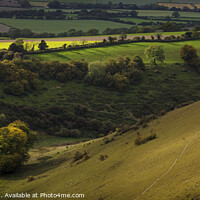 Buy canvas prints of Grandfather's Bottom at Butser Hill by Heidi Stewart